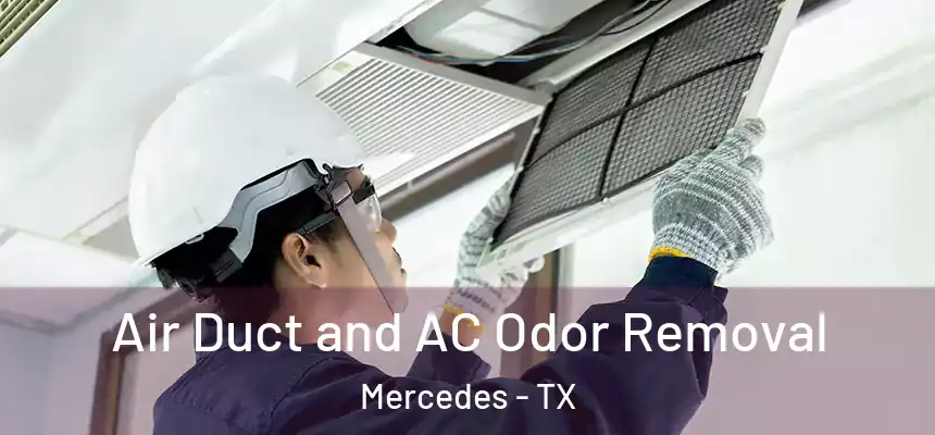  Air Duct and AC Odor Removal Mercedes - TX