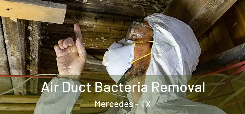  Air Duct Bacteria Removal Mercedes - TX