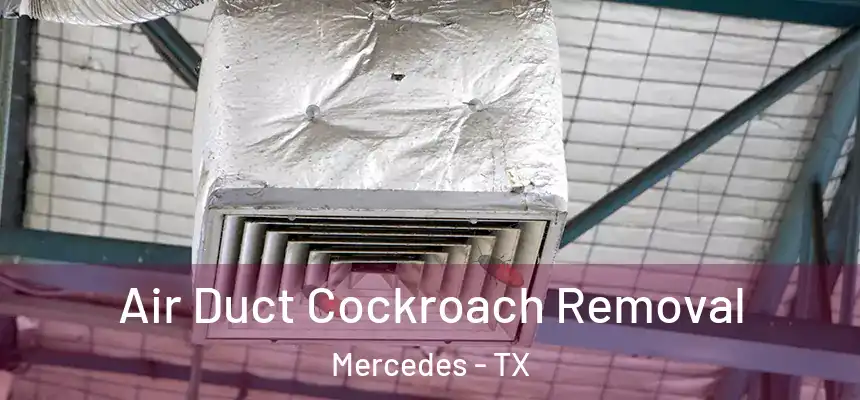  Air Duct Cockroach Removal Mercedes - TX