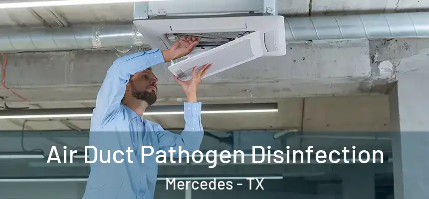  Air Duct Pathogen Disinfection Mercedes - TX
