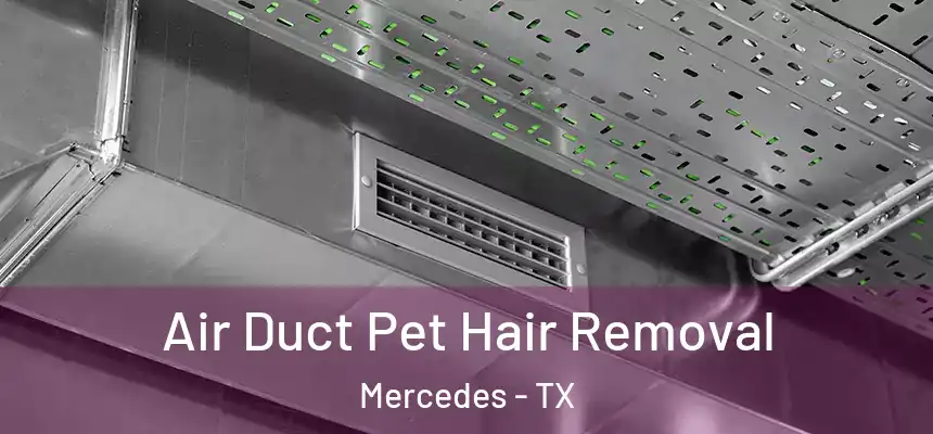  Air Duct Pet Hair Removal Mercedes - TX