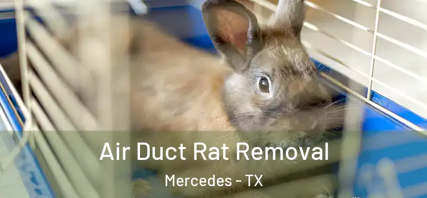  Air Duct Rat Removal Mercedes - TX