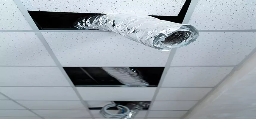 Our Air Duct Pet Hair Removal Services in Mercedes, TX