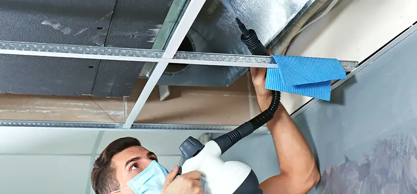 Our Air Duct Rodent Removal Services in Mercedes, TX