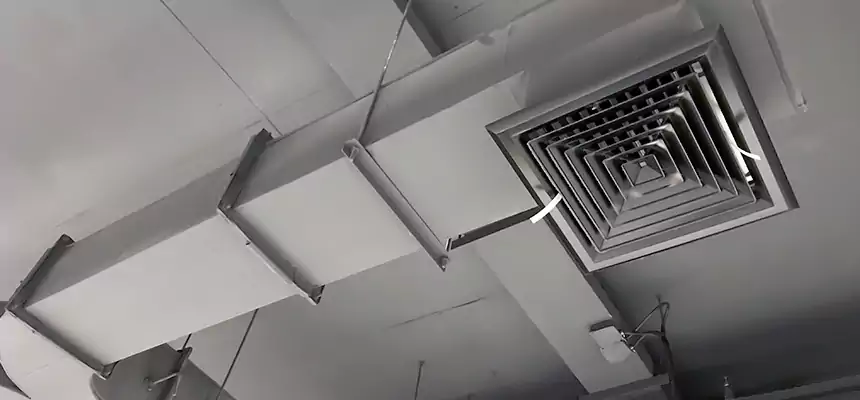 Restorative Allergy Relief Vent Cleaning – Coil, Blower & Housing Detail in Mercedes