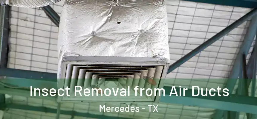  Insect Removal from Air Ducts Mercedes - TX