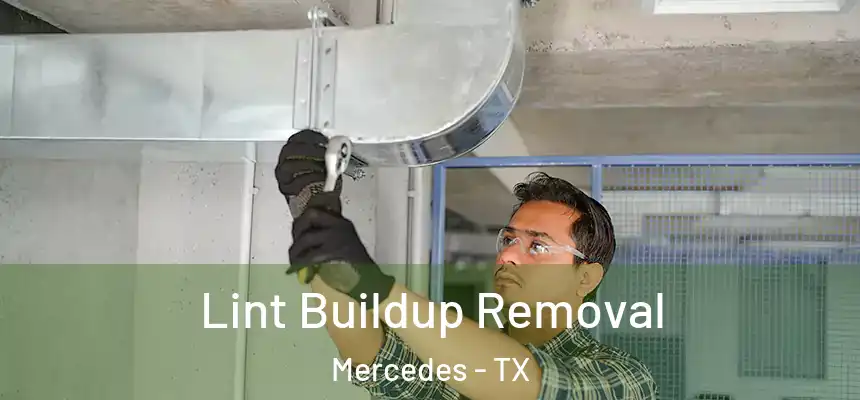 Lint Buildup Removal Mercedes - TX