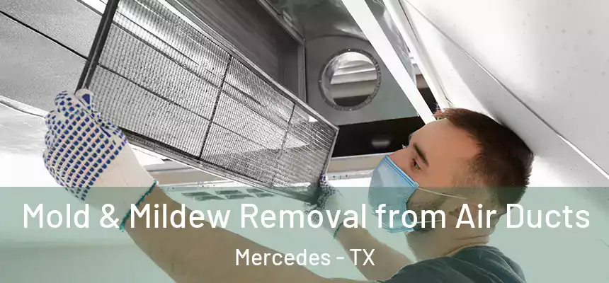  Mold & Mildew Removal from Air Ducts Mercedes - TX
