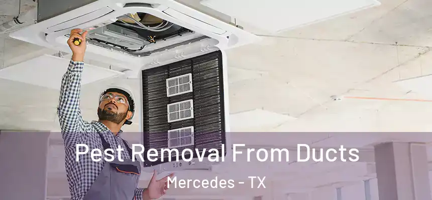  Pest Removal From Ducts Mercedes - TX