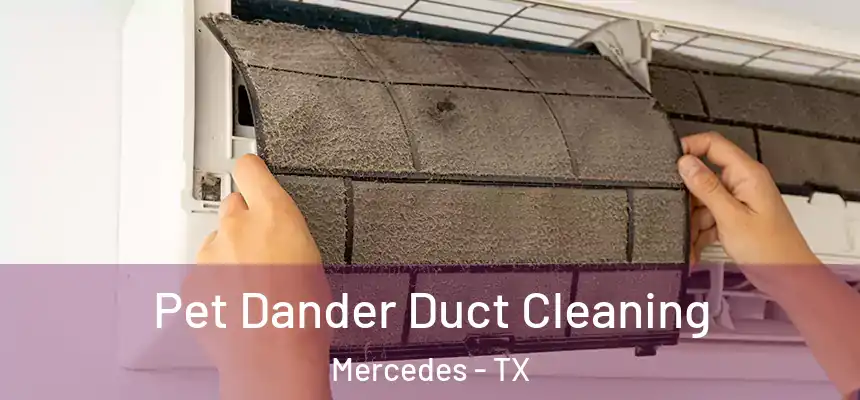  Pet Dander Duct Cleaning Mercedes - TX