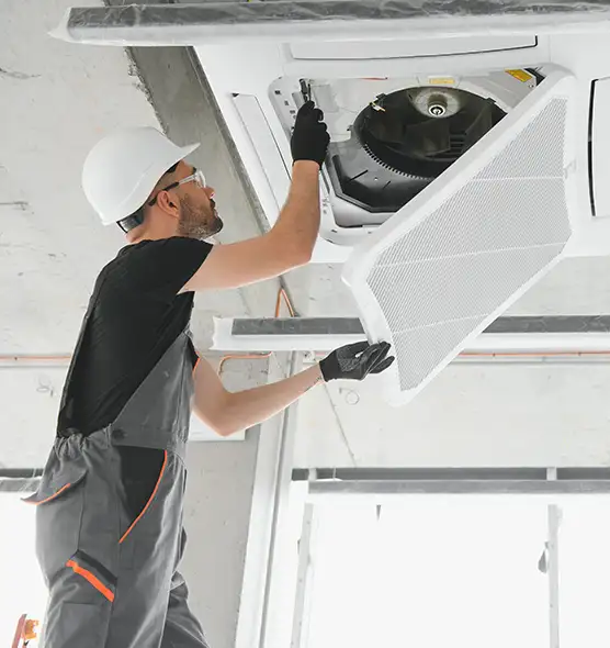 About Air Duct Rodent Removal in Mercedes, TX