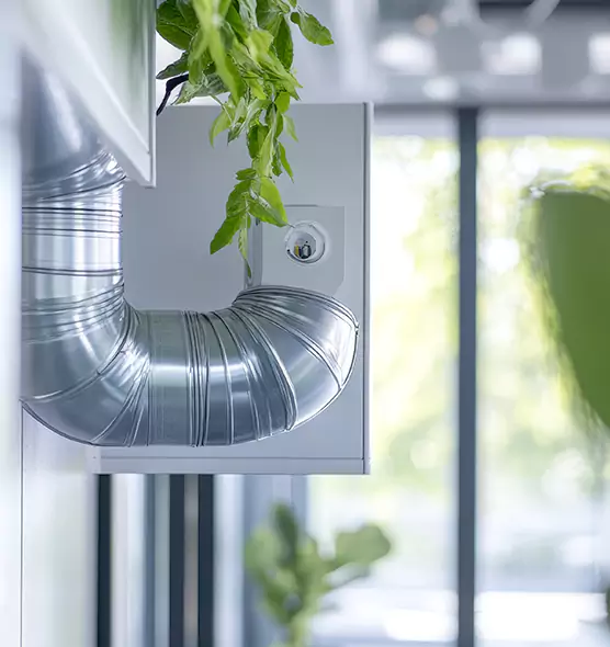 Professional Eco-Safe Dryer Vent Cleaning in Mercedes, TX