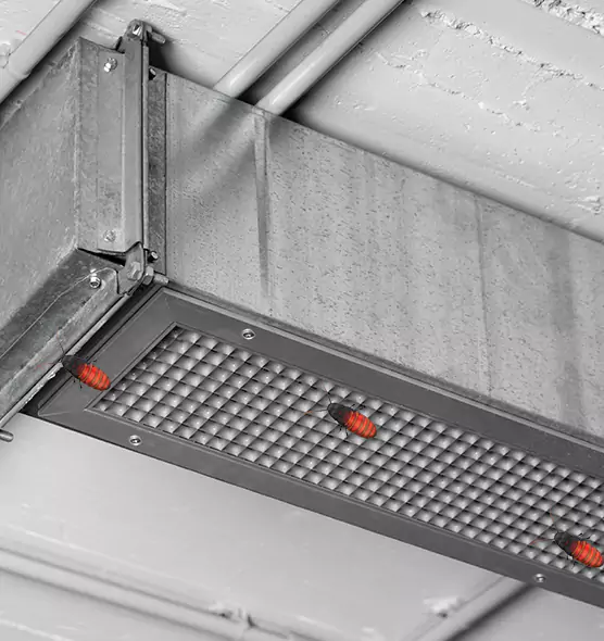 Affordable Insect Removal from Air Ducts in Mercedes, TX