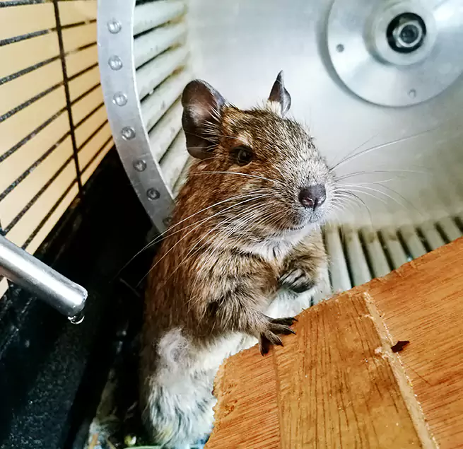 Why Homeowners & Businesses Trust Us Mercedes, TX