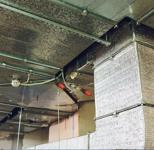 Why Homeowners & Businesses Trust Us Mercedes, TX?