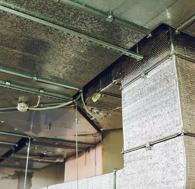 Why Homeowners & Businesses Trust Us in Mercedes, TX?