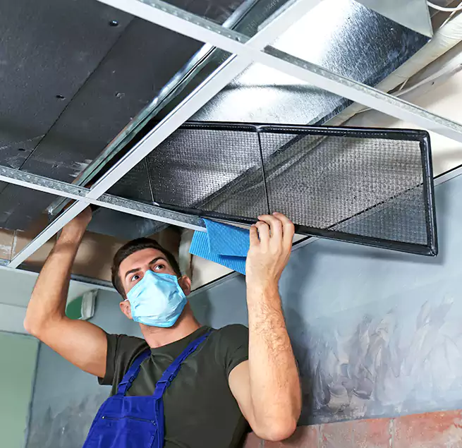 Why Homeowners Businesses Trust Us in Mercedes, TX